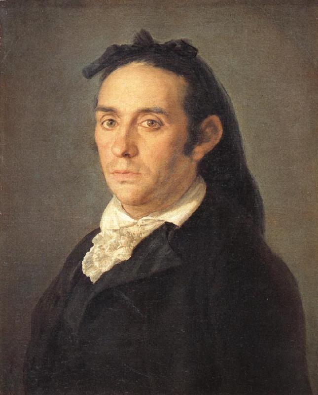Francisco Goya Portrait of the Bullfighter Pedro Romero oil painting image